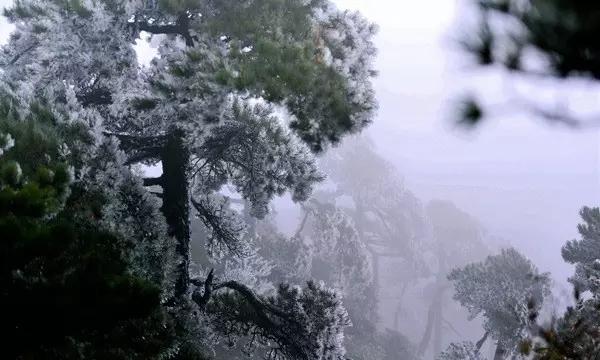 拯救老科学家